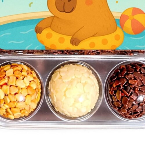 Embalagem Bolo Docinhos Personalizada Capivara Pool Party