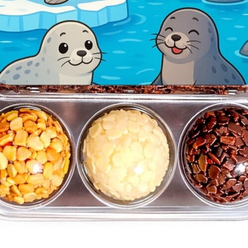 Embalagem Bolo Docinhos Personalizada Focas