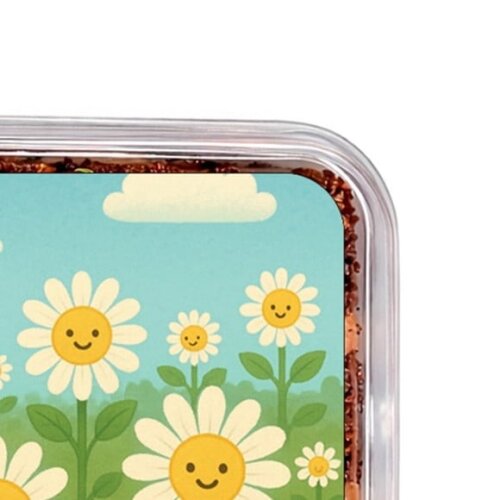 Embalagem Bolo Docinhos Personalizada Margaridas