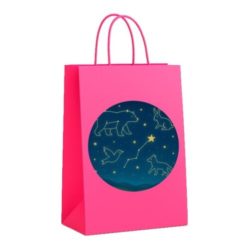 Sacola de Papel Personalizada Infantil Constelações