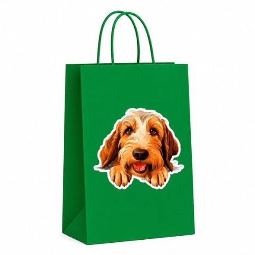 Sacola Papel Festa Raça Cachorro Basset Griffon Vendeano