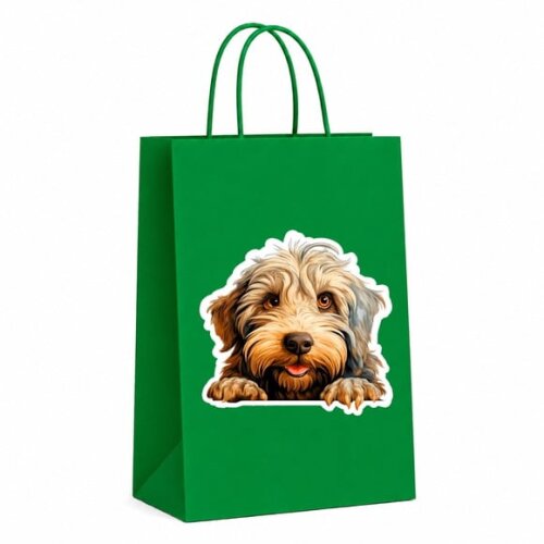 Sacola Papel Festa Raça Cachorro Bergamasco