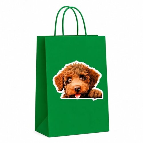 Sacola Papel Festa Raça Cachorro Cão de Água Espanhol