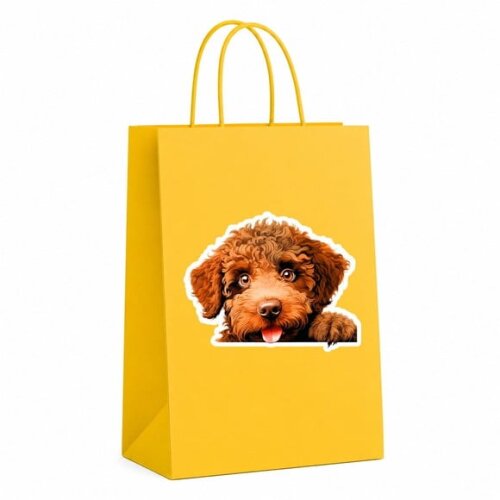 Sacola Papel Festa Raça Cachorro Cão de Água Espanhol