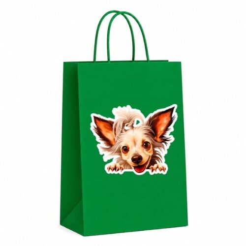 Sacola Papel Festa Raça Cachorro Cão de Crista Chinês