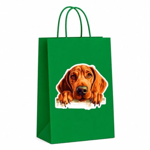 Sacola Papel Festa Raça Cachorro Coonhound Redbone