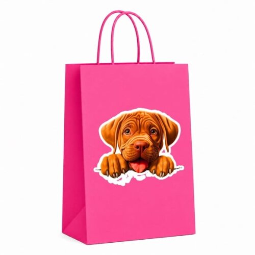Sacola Papel Festa Raça Cachorro Dogue de Bordeaux