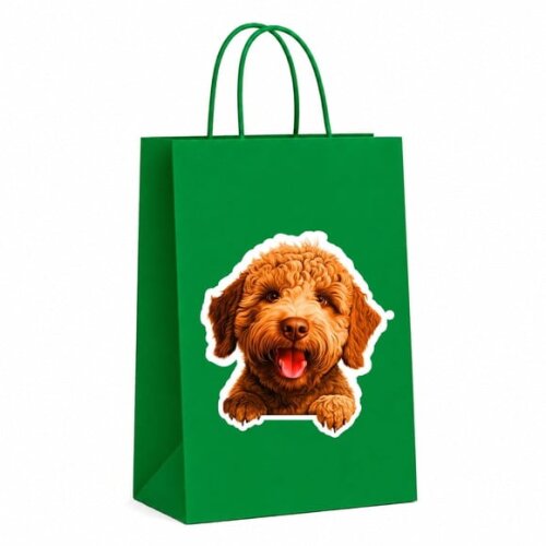 Sacola Papel Festa Raça Cachorro Lagotto Romagnolo