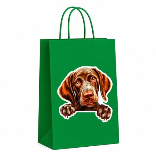 Sacola Papel Festa Raça Cachorro Pointer Alemão pelo Curto