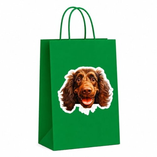 Sacola Papel Festa Raça Cachorro Spaniel Boykin