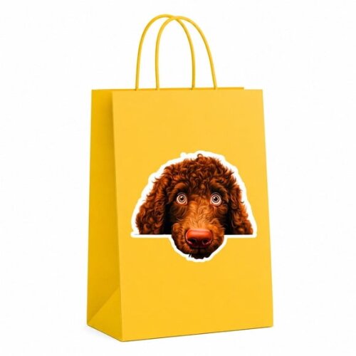 Sacola Papel Festa Raça Cachorro Spaniel de Água Irlandês