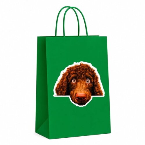 Sacola Papel Festa Raça Cachorro Spaniel de Água Irlandês