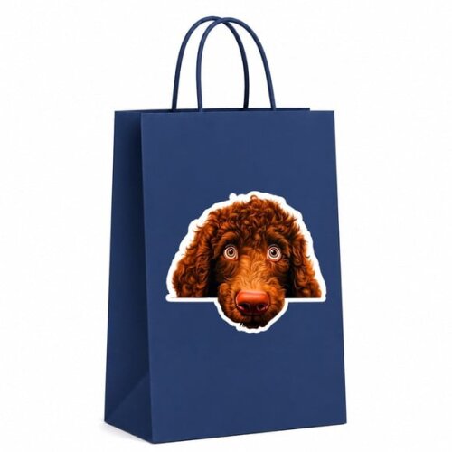 Sacola Papel Festa Raça Cachorro Spaniel de Água Irlandês