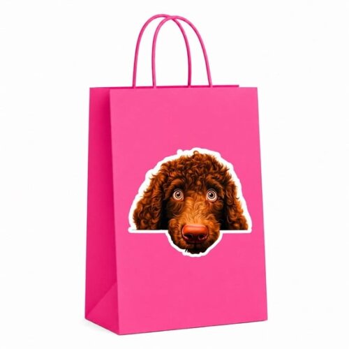 Sacola Papel Festa Raça Cachorro Spaniel de Água Irlandês