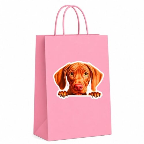 Sacola Papel Festa Raça Cachorro Vizsla