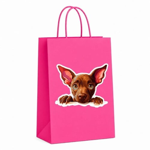 Sacola Papel Festa Raça Cachorro Xoloitzcuintli