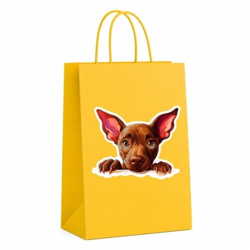 Sacola Papel Festa Raça Cachorro Xoloitzcuintli