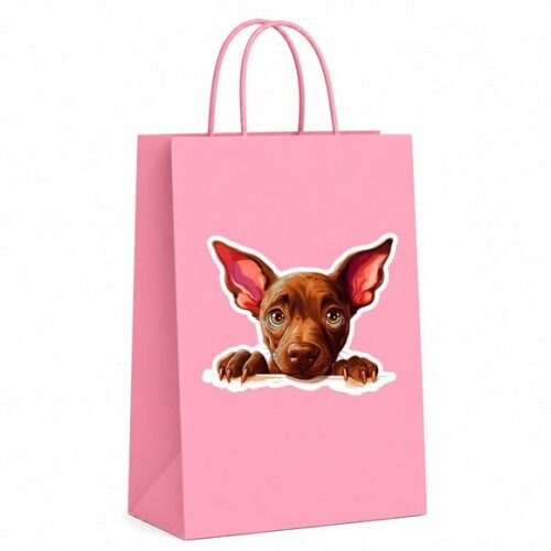 Sacola Papel Festa Raça Cachorro Xoloitzcuintli