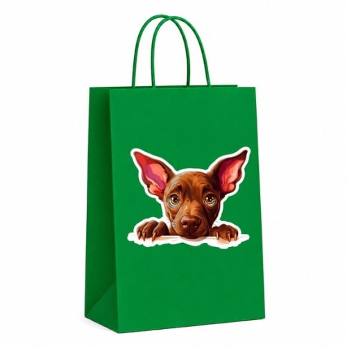 Sacola Papel Festa Raça Cachorro Xoloitzcuintli