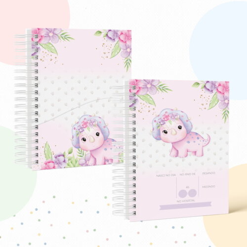 Kit Maternidade Completo Personalizado - Dino Menina