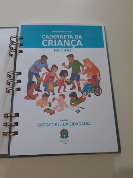 Caderneta de Vacinação Urso Aviador 2023