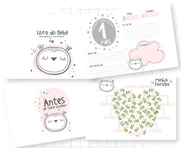 Kit Livro Bebê e Caderneta de Saúde Corujinha