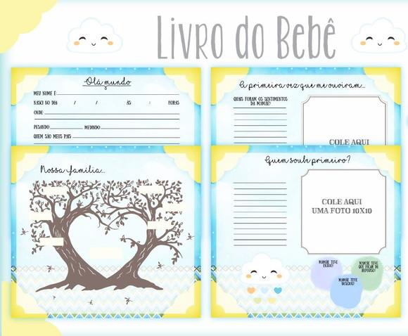 Kit Livro do Bebê + Caderneta de Saúde - Chuva de Amor