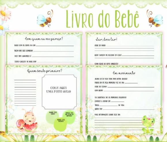 Kit Livro do Bebê + Caderneta de Saúde - Jardim