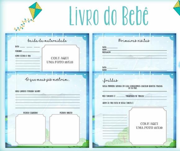 Kit Livro do Bebê + Caderneta de Saúde - Pipa