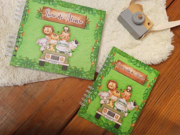 Kit Livro do Bebê + Caderneta de Saúde + Caixa