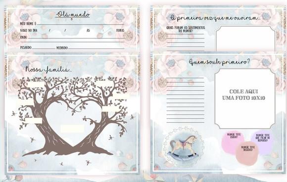 Kit Livro Do Bebê + Caderneta De Saúde Carrossel