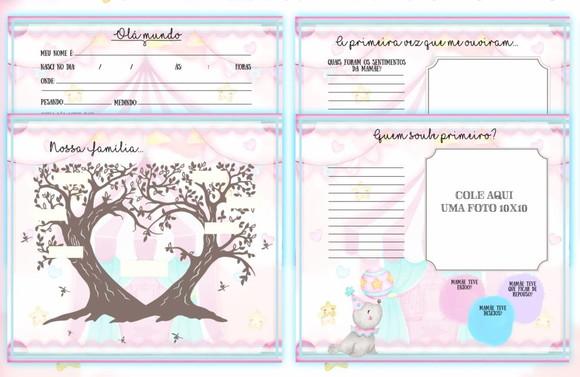 Kit Livro do Bebê + Caderneta de Vacina - Circo Rosa