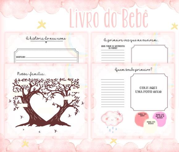 Kit Livro do Bebê + Caderneta de Vacina -Chuva de Amor Rosa