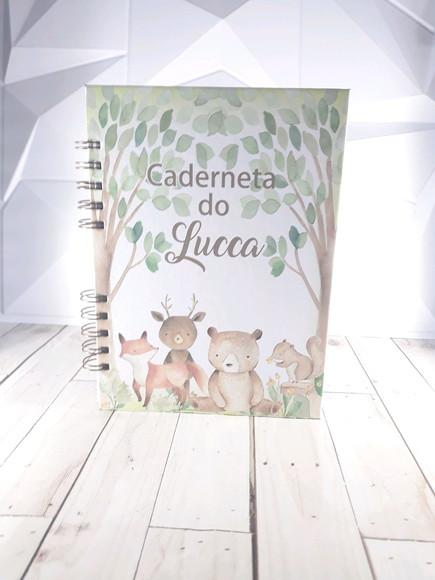 Kit Livro do Bebê Caderneta de Vacina Bosque Menino