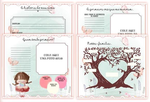 Kit Livro do Bebê e Caderneta de Vacina Menininha
