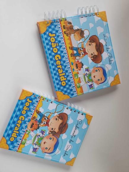Kit Livro do Bebê e Caderneta de Vacina Toy Story