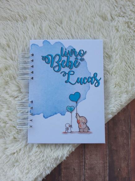 Livro Bebê