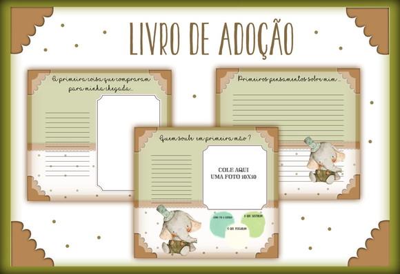 Livro do Bebê Adoção