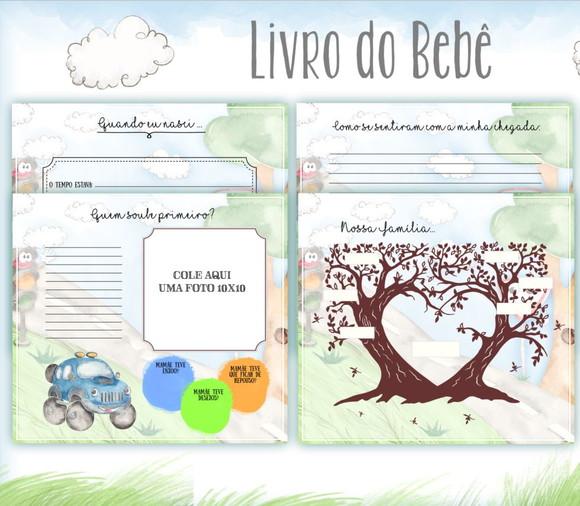 Livro do Bebê Carro Aquarela