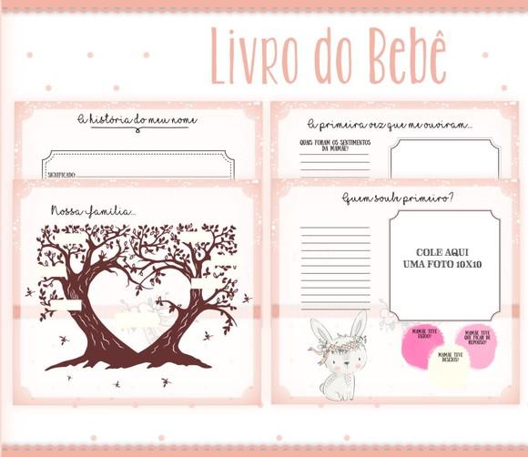 Livro do Bebê Coelhinha