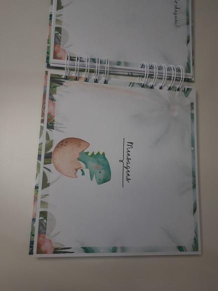 Livro do Bebê Dinossauro