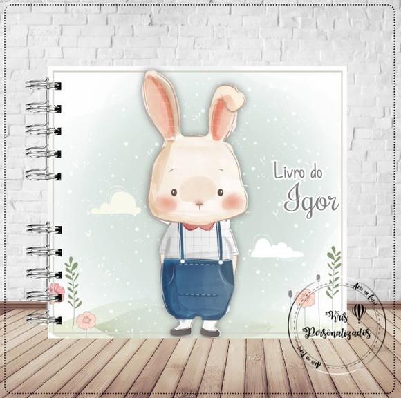 Livro do Bebê Coelhinho