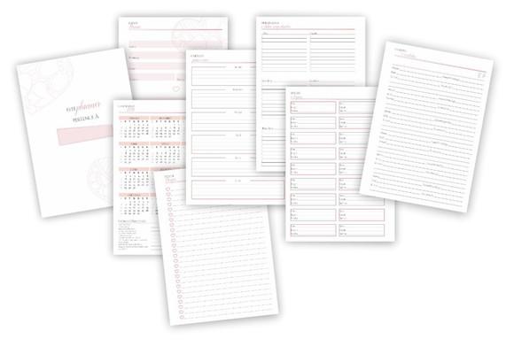 Planner Consultora de Vendas