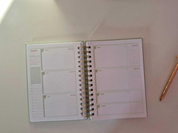 Planner Professor 2026