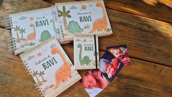 Super Kit Albúm Livro do Bebê e Caderneta de Saúde - Dino