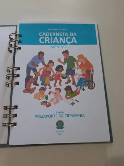 Caderneta de Vacinação Urso Aviador 2023