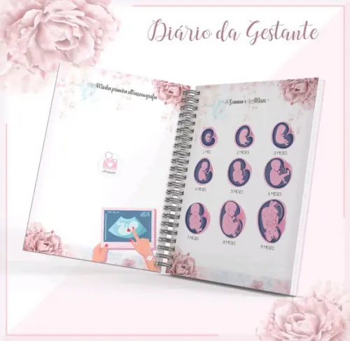Diário da Gravidez