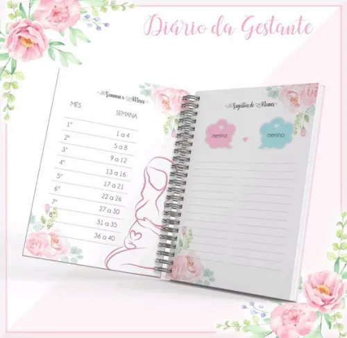 Diário da Gravidez