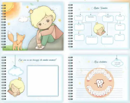 Kit 2 -Álbum + Caderneta+ Livro do bebê -Pequeno Princípe