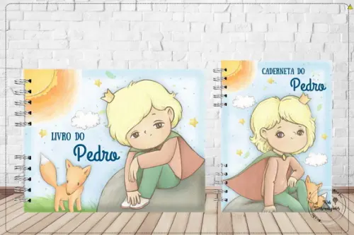 Kit Caderneta de Vacina + Livro do Bebê 2 - Pequeno Princípe